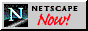 Netscape Now